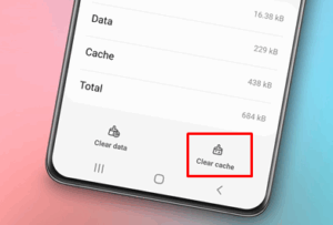 Clear the App Cache
